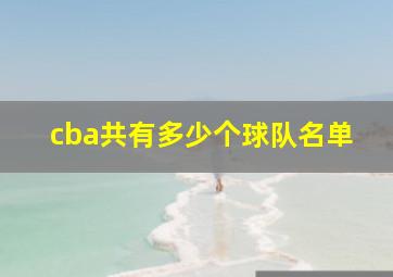 cba共有多少个球队名单