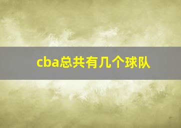 cba总共有几个球队