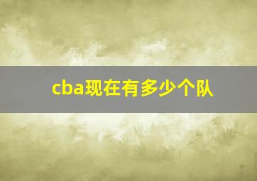 cba现在有多少个队