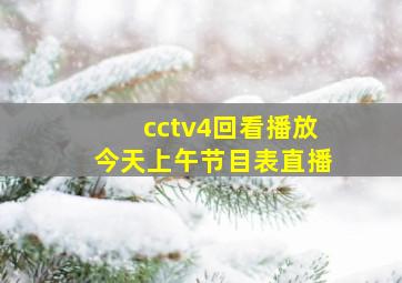 cctv4回看播放今天上午节目表直播