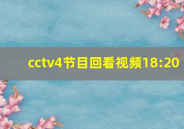 cctv4节目回看视频18:20