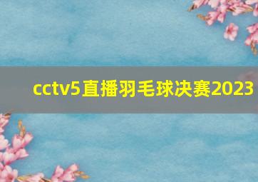 cctv5直播羽毛球决赛2023