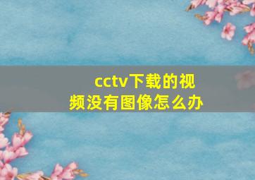 cctv下载的视频没有图像怎么办