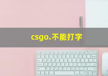 csgo.不能打字