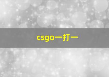 csgo一打一