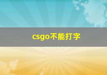 csgo不能打字