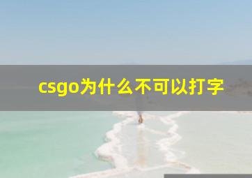 csgo为什么不可以打字