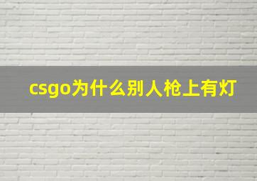 csgo为什么别人枪上有灯