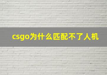 csgo为什么匹配不了人机