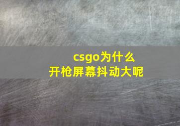 csgo为什么开枪屏幕抖动大呢