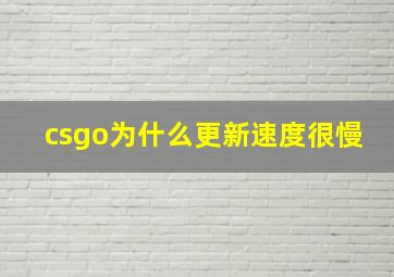 csgo为什么更新速度很慢