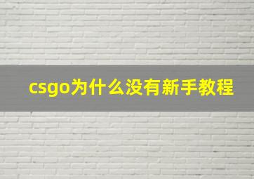 csgo为什么没有新手教程