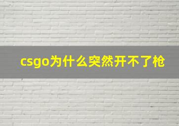 csgo为什么突然开不了枪