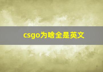 csgo为啥全是英文