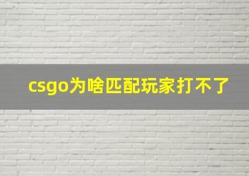 csgo为啥匹配玩家打不了