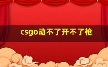 csgo动不了开不了枪