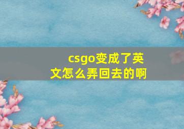 csgo变成了英文怎么弄回去的啊