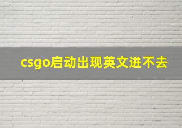 csgo启动出现英文进不去