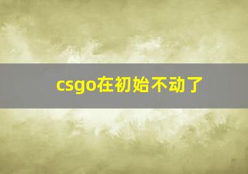 csgo在初始不动了