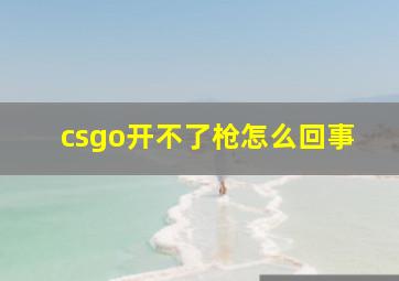 csgo开不了枪怎么回事