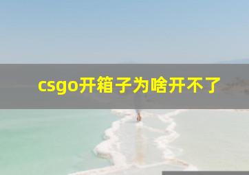 csgo开箱子为啥开不了