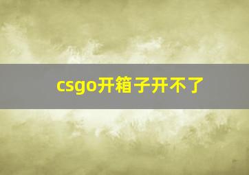 csgo开箱子开不了