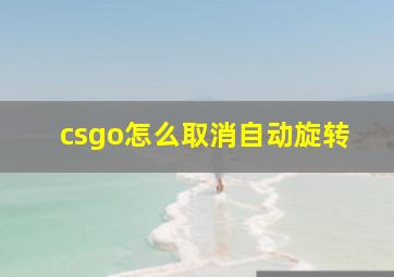 csgo怎么取消自动旋转