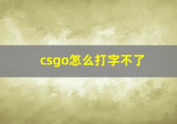 csgo怎么打字不了