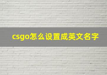 csgo怎么设置成英文名字