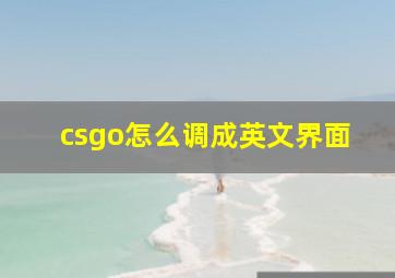 csgo怎么调成英文界面