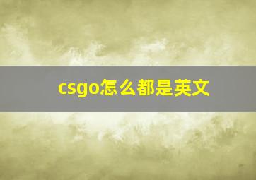 csgo怎么都是英文