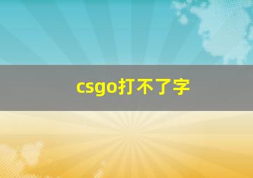 csgo打不了字