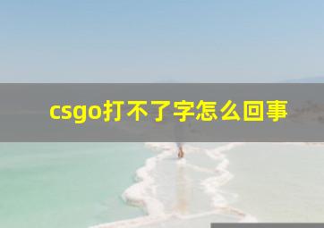 csgo打不了字怎么回事