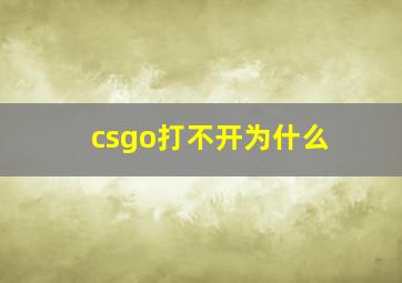 csgo打不开为什么