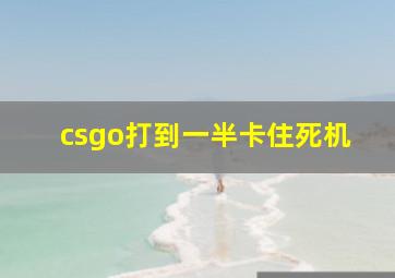 csgo打到一半卡住死机