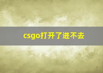 csgo打开了进不去