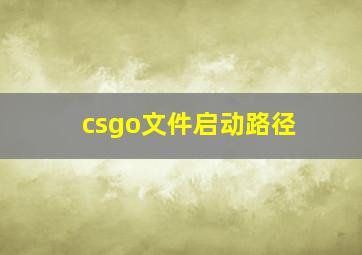 csgo文件启动路径