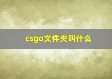 csgo文件夹叫什么