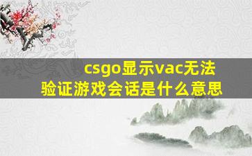 csgo显示vac无法验证游戏会话是什么意思