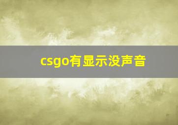 csgo有显示没声音