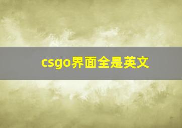 csgo界面全是英文