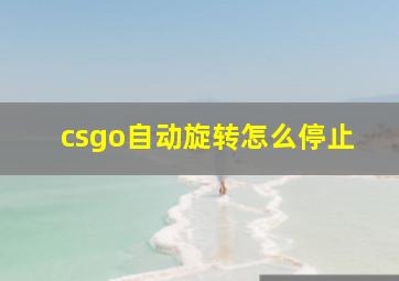 csgo自动旋转怎么停止