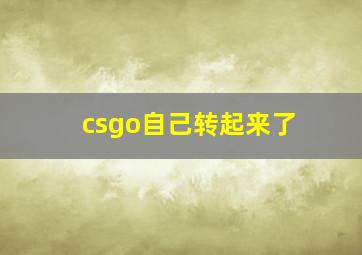 csgo自己转起来了