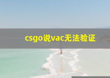 csgo说vac无法验证