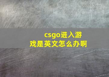 csgo进入游戏是英文怎么办啊