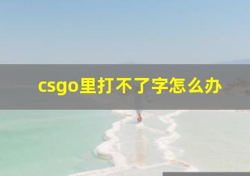 csgo里打不了字怎么办