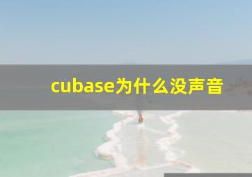 cubase为什么没声音