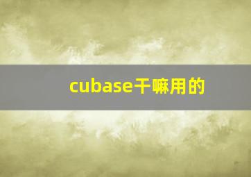 cubase干嘛用的