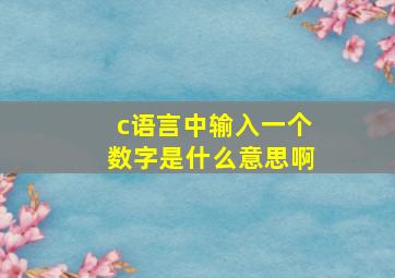 c语言中输入一个数字是什么意思啊