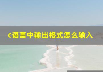 c语言中输出格式怎么输入